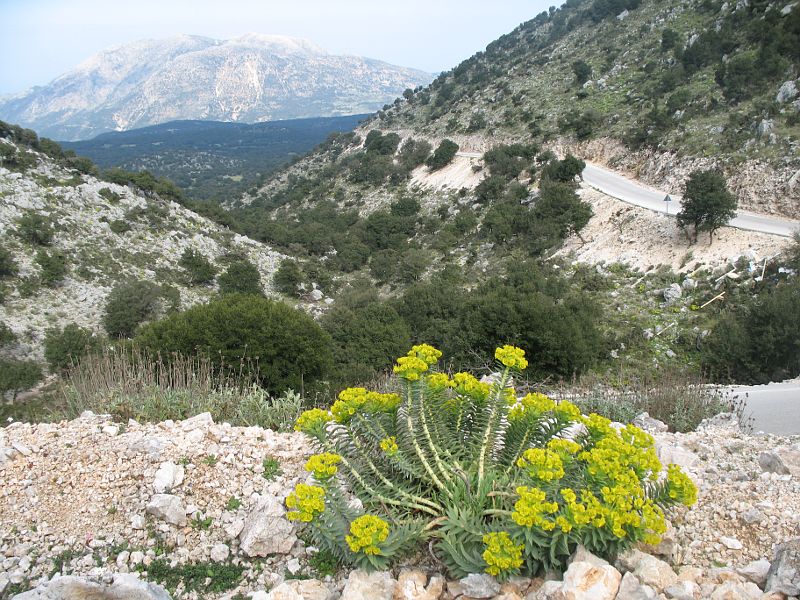 Kefalonia