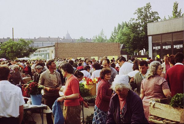 Szeged