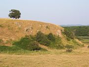 Sinemorec