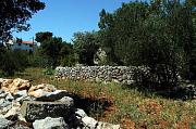 Starigrad - Paklenica