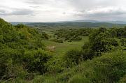 Căpuşu Mare, Capusu Mare, Capusul-Mare, Căpuşul-Mare