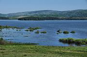 Vlasinsko Jezero, Vlasinsko Blato