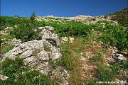 Poluotok Pelješac, Poluotok Peljesac, Sabbioncello