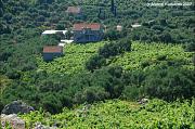 Poluotok Pelješac, Poluotok Peljesac, Sabbioncello