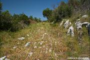 Otok Lastovo, Ile de Lastovo, Isola Lagosta, Isola di Lagosta, Lagosta Island, Lahosto, Lastovo, Ostrvo Lastovo, Île de Lastovo, Ластово