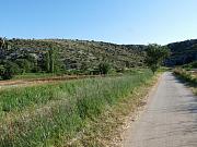Vrana