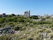 Vrana