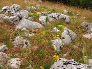 Durmitor