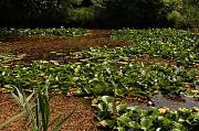 Jezero Jezero u Omišalje.