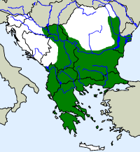 rozšíření štíhlovky kaspické Dolichophis caspius  na Balkáně (zeleně)