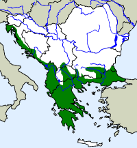 rozšíření štíhlovky útlé Platyceps najadum na Balkáně (zeleně)