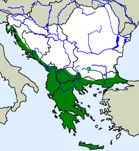 rozšíření užovky levhartí Zamenis situla  na Balkáně (zeleně)