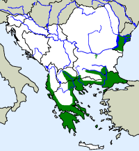 rozšíření hroznýška tureckého Eryx jaculus na Balkáně (zeleně)