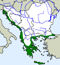 rozšíření gekona tureckého na Balkáně (zeleně)