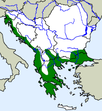 rozšíření šírohlavce východního Malpolon insignitus na Balkáně (zeleně)