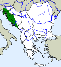 rozšíření macaráta jeskynního Proteus anguinus na Balkáně (zeleně)