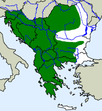rozšíření mloka skvrnitého na Balkáně (zeleně)