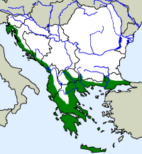 rozšíření skvrnovky kočičí na Balkáně (zeleně)