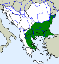 rozšíření želvy žlutohnědé Testudo graeca  na Balkáně (zeleně)